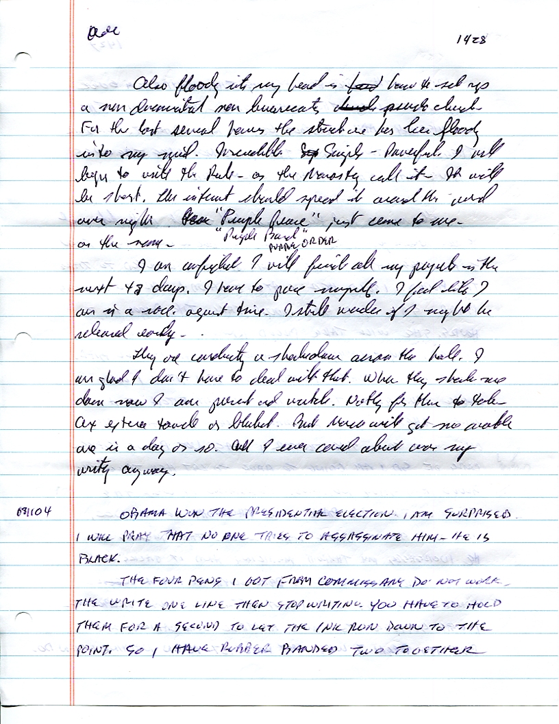 Dr John WorldPeace 2008 Prison Journal
